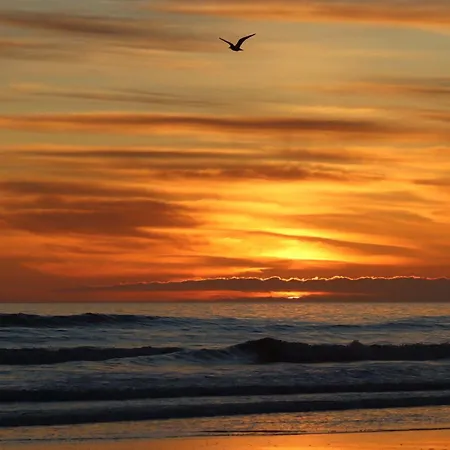 Апартаменты La Dune, Proche Rue Pietonne Et *