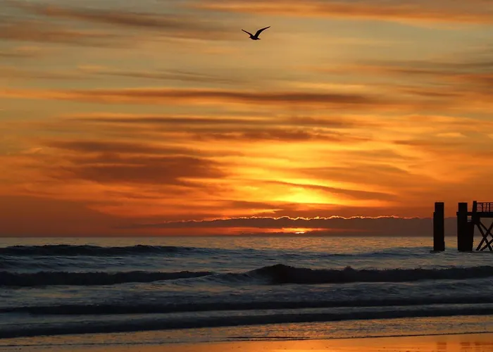 Apartamento La Dune, Proche Rue Pietonne Et *